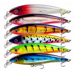 Floating Minnow Lure, 16 cm (6.3 in), 42 g (1.5 oz)