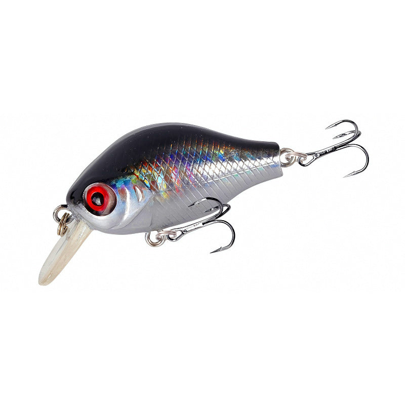 Hard Bait Fishing Lure, 5.8 cm (2.3 in), 7.8 g (0.28 oz)