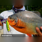Minnow Hard Bait, 45–65 mm (1.8–2.6 in), Floating/Sinking