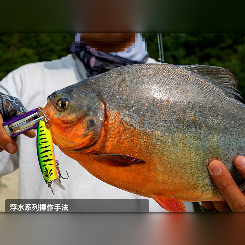 Minnow Hard Bait, 45–65 mm (1.8–2.6 in), Floating/Sinking