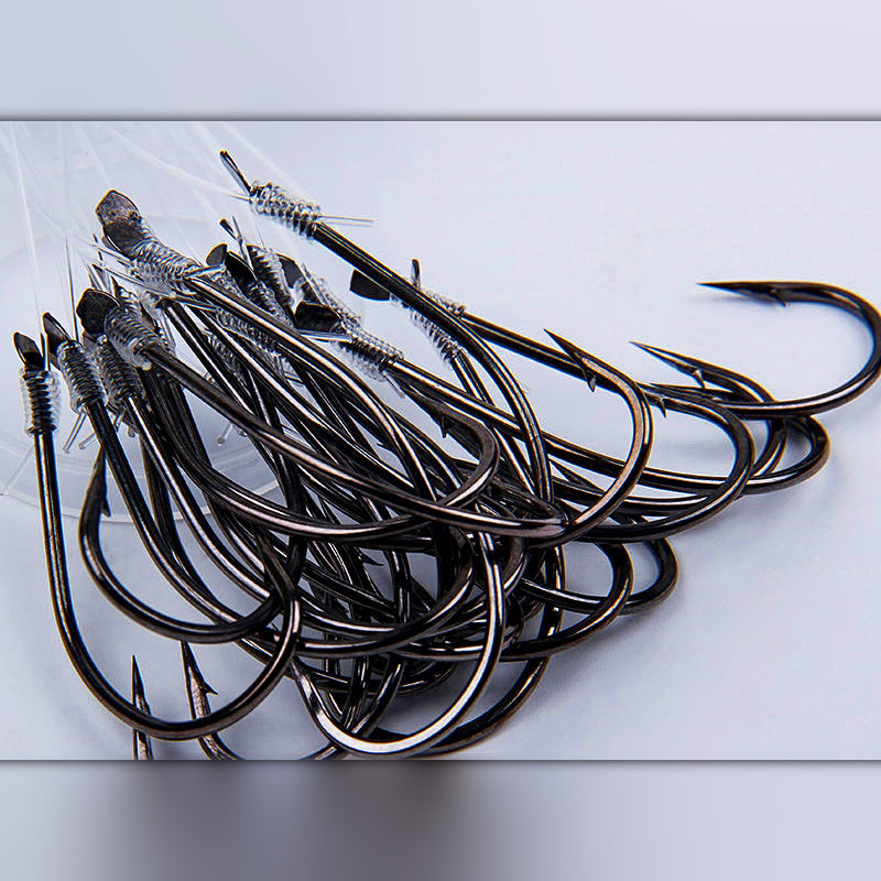Pre-Tied Maruseigo-Style Hooks & Sea Bass Rigs, Size 9–28