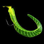 Curly Tail Grub Soft Baits, 10-Pack, S/M/L, Rigs Available
