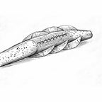 WIP Soft Plastic Minnow Bait, 3.3–4.8 in (8.4–12.2 cm)