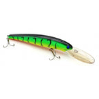 Floating Minnow Hard Bait, 16 cm (6.3 in), 21 g (0.74 oz)