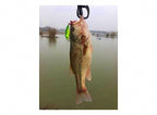 Lure Assortment Kit, Hard Baits, Minnows, Frogs, Spinnerbaits – product photo