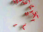 Fluorescent Pink Ant Fly Hooks, Sizes 12–20 – product photo