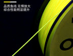 8-Strand PE Braided Fishing Line, PE 0.4–5.0 – product photo