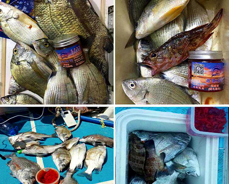 Canned Shrimp Bait for Saltwater Bottom Fishing – product photo