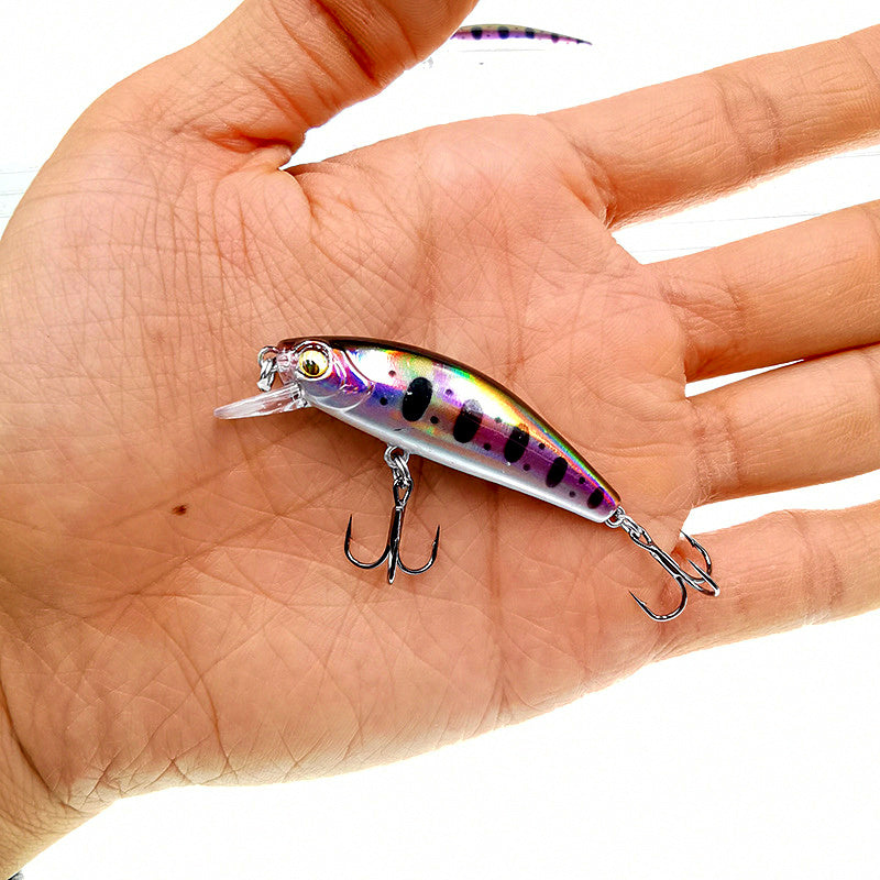 Sinking Minnow Hard Bait, 50 mm (2 in) 6.5 g (0.23 oz) – product photo