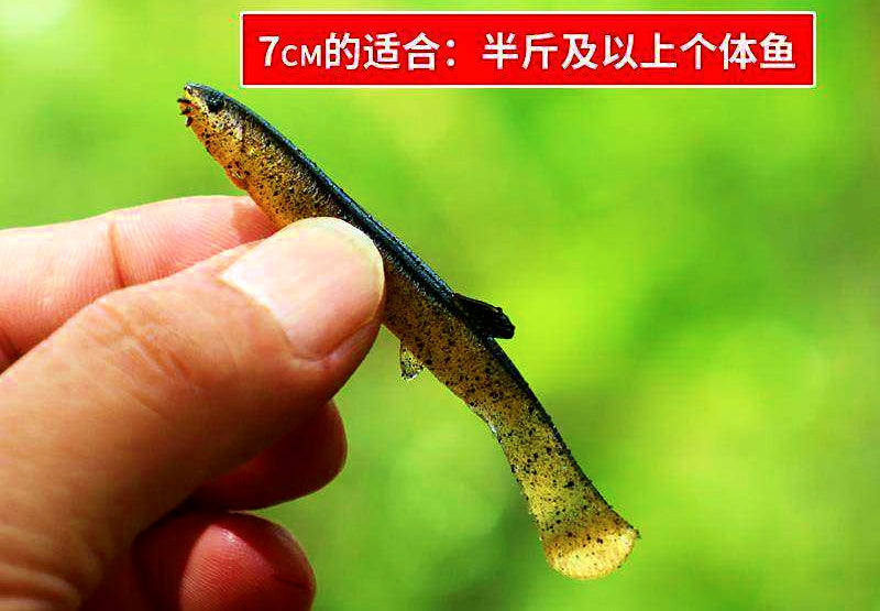 Loach Soft Bait T-Tail Swimbait, 4.1–8.8 cm (1.6–3.5 in) – product photo