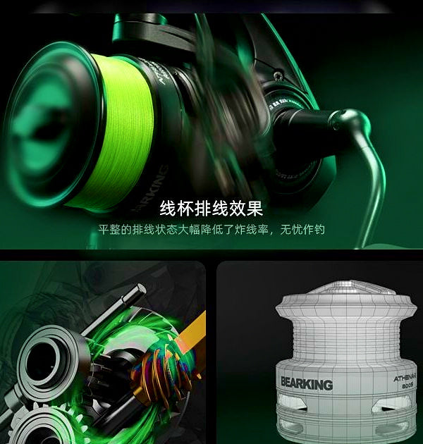 Front Drag Spinning Reel, 5.2:1, 6 Bearings, Sizes 800–3000 – product photo