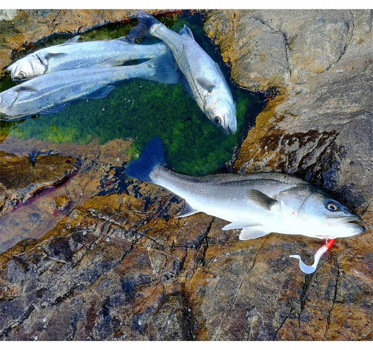 Curly Tail Soft Bait with Lead Jig Head, 18–50 g (0.6–1.8 oz) – product photo