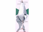 Casting Spoon Lure, 20 g (0.7 oz), 7 cm, Treble Hook – product photo