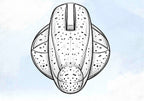 WIP Soft Plastic Minnow Bait, 3.3–4.8 in (8.4–12.2 cm) – product photo