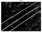 Clear PE Braided Fishing Line, 30 m & 50 m, PE 0.08–1.5 – product photo