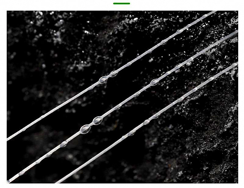 Clear PE Braided Fishing Line, 30 m & 50 m, PE 0.08–1.5 – product photo