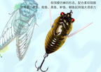 Cicada Topwater Floating Lure, 5.5 g & 12 g (0.19 & 0.42 oz) – product photo