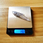 Unpainted Sinking VIB Lure Blank, 8.5 cm, 19 g (0.67 oz) – product photo