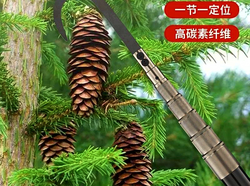 Telescopic Carbon Fiber Knocking Pole, 6–11 m (20–36 ft) – product photo