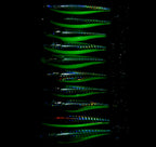 Glow Wooden Shrimp Squid Jig, 10 cm 9 g (0.3 oz) – product photo