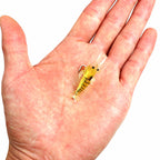 Soft Shrimp Lure with Hook, Glow Grass Shrimp Bait – product photo