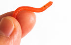 Soft Plastic Worm & Bloodworm Lures, 30–150 Pack – product photo