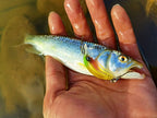Micro Minnow Hard Bait, 30 mm / 1.2 g (0.04 oz), Single Hook – product photo