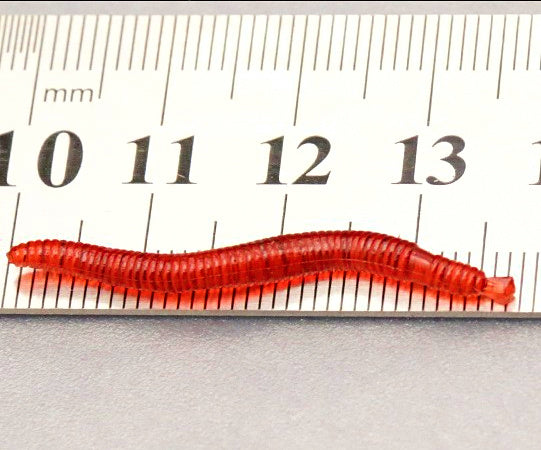 4 cm Worm Soft Bait, 100 Pack, Red or Glow – product photo