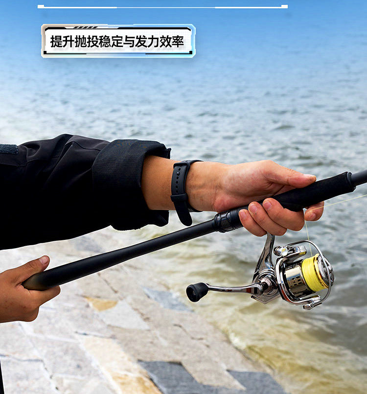 Carbon Shore Casting Rod, 2-Piece, 2.4–3.0 m (7.9–9.8 ft) – product photo