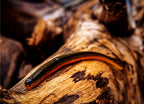 Pencil Noodle Worm Soft Plastic Bait for Wacky & Texas Rig – product photo