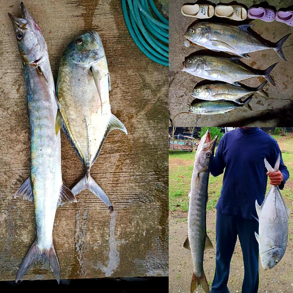 Sinking Minnow Hard Bait, 17 cm (6.7 in), 83 g (2.9 oz) – product photo