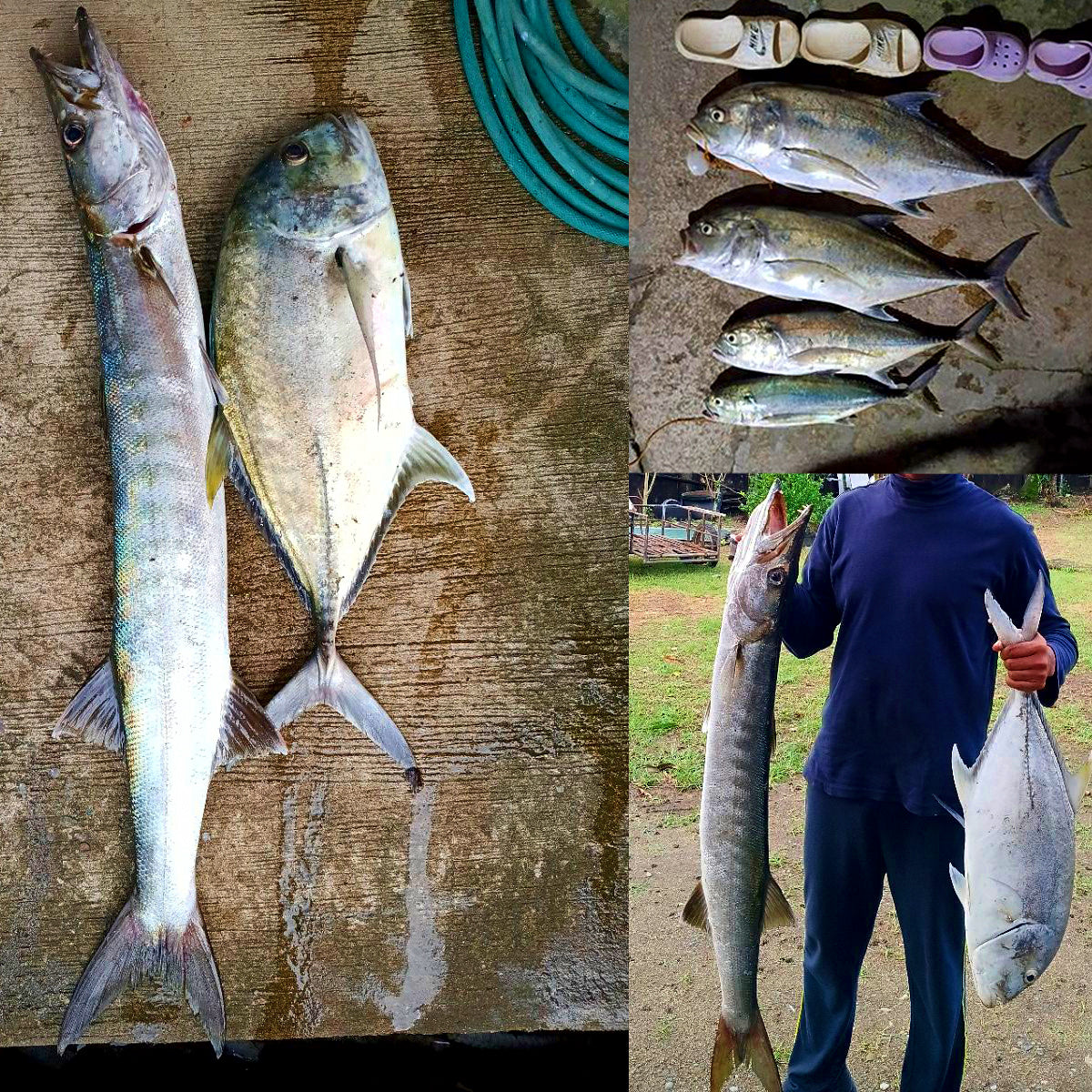 Sinking Minnow Hard Bait, 17 cm (6.7 in), 83 g (2.9 oz) – product photo