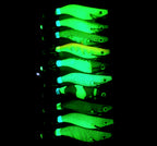 Glow Mini Wood Shrimp Squid Jig, 10 Pack, 1.5–2.2 Size – product photo