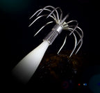 Glow Squid Jig, 12-Claw, 7.4 cm (2.9 in), 4 g (0.14 oz) – product photo