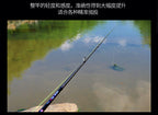 2-Piece Carbon Lure Rod, Spinning/Casting, 1.92–2.16 m – product photo