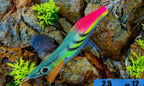 Glow UV Egi Squid Jig, Size 2.5, 10 g (0.35 oz) – product photo