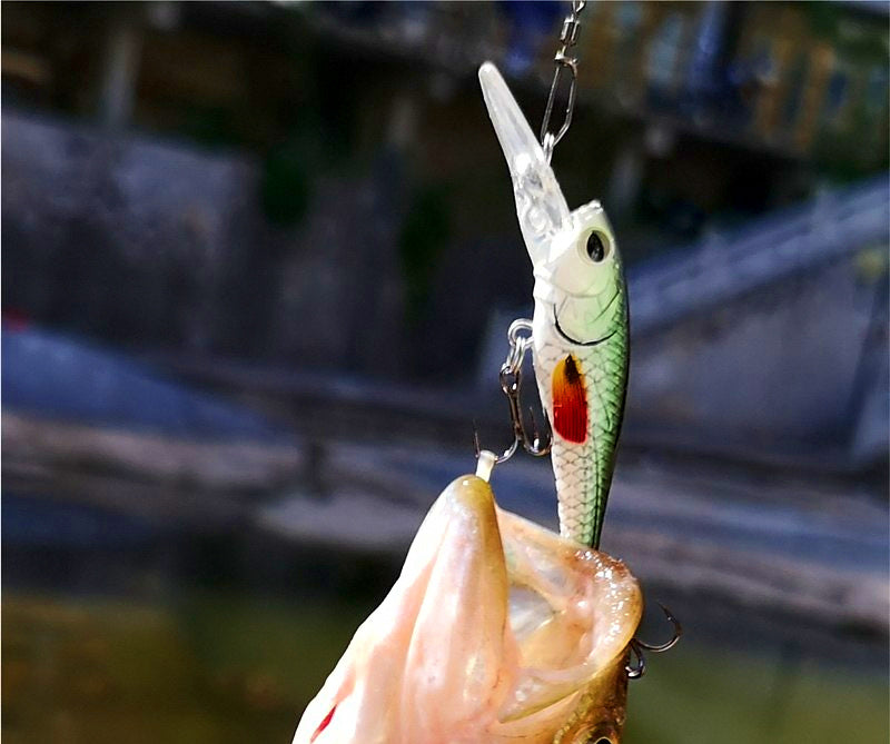 Floating Minnow Lure, 40 mm (1.6 in) 2.7 g (0.1 oz) – product photo