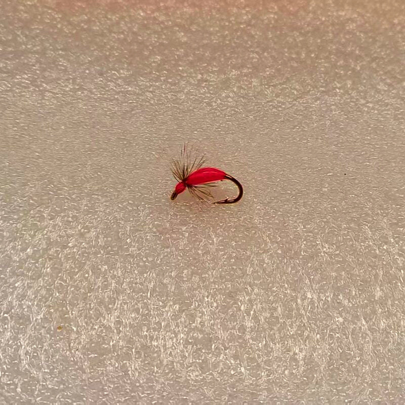 Nymph Fly Fishing Flies, Barbed Hook, 8-Pack – product photo