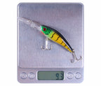 Deep Diving Minnow Hard Bait, 100 mm, 7.8 g (0.28 oz) – product photo