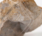 Snelled Double Hook Rigs, Sode & Iseni, 20 Pack – product photo