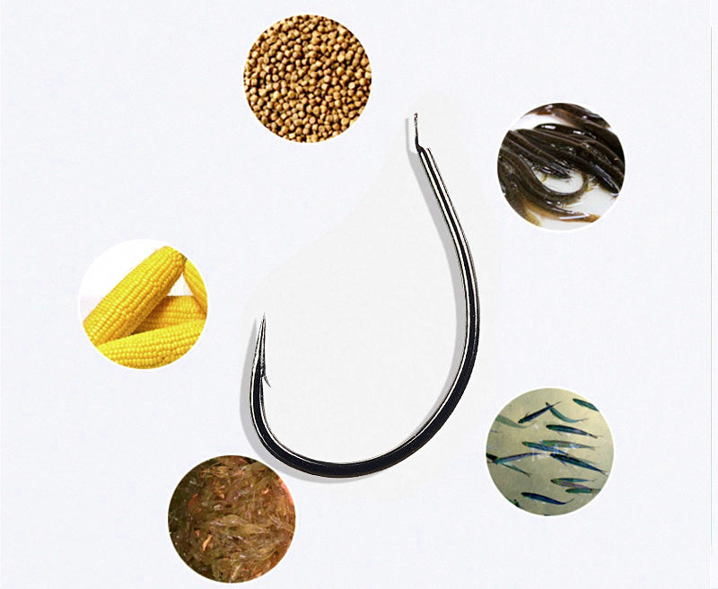 Barbed Live Bait Hooks (Loach Style), Sizes 9–13 – product photo