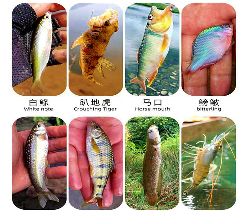 Pre-Rigged Stream Fishing Rig, Nylon, 3 Floats, 2.7–4.5 m – product photo