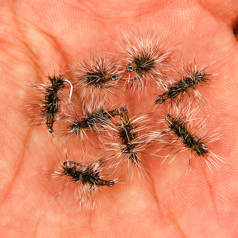 Griffith's Gnat Floating Dry Fly, Sizes #14–#18 – product photo
