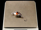 Mini Minnow Lure, 2.1 g (0.07 oz), 3.6 cm (1.4 in) – product photo