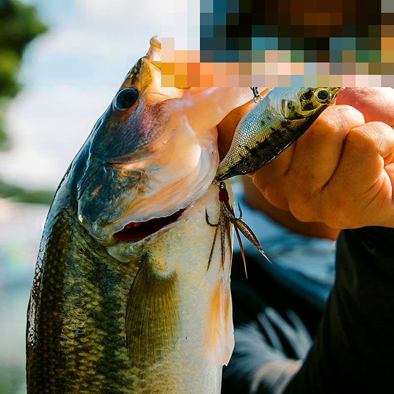 Walk-the-Dog Topwater Lure, 13 g (0.46 oz), 6.8 cm (2.7 in) – product photo