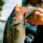 Walk-the-Dog Topwater Lure, 13 g (0.46 oz), 6.8 cm (2.7 in) – product photo