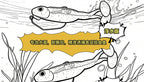 Soft Popper Frog Lure, 5.8–8.4 cm (2.3–3.3 in) – product photo