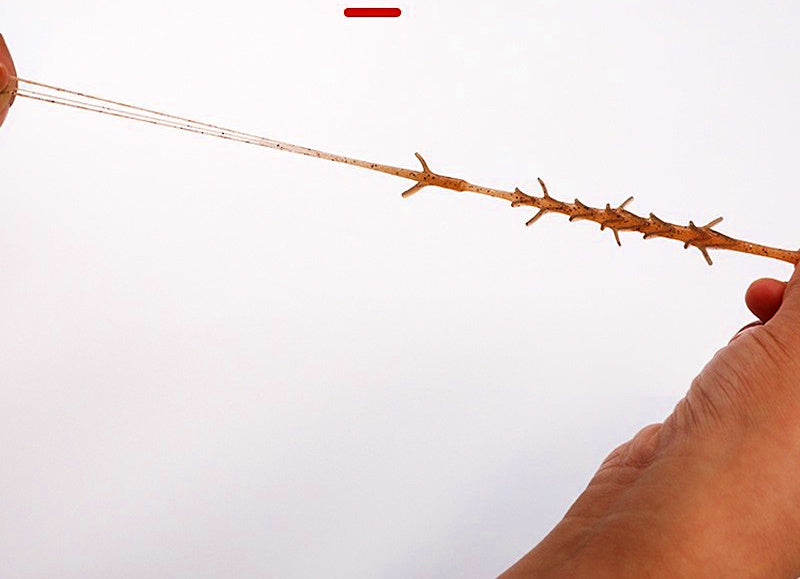 Floating Shrimp Soft Lure, 6.3 cm (2.5 in), 2.1 g (0.07 oz) – product photo