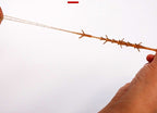 Floating Shrimp Soft Lure, 6.3 cm (2.5 in), 2.1 g (0.07 oz) – product photo