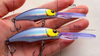 Floating Minnow Lure, Long Lip, 9 g (0.32 oz) & 17 g (0.60 oz) – product photo